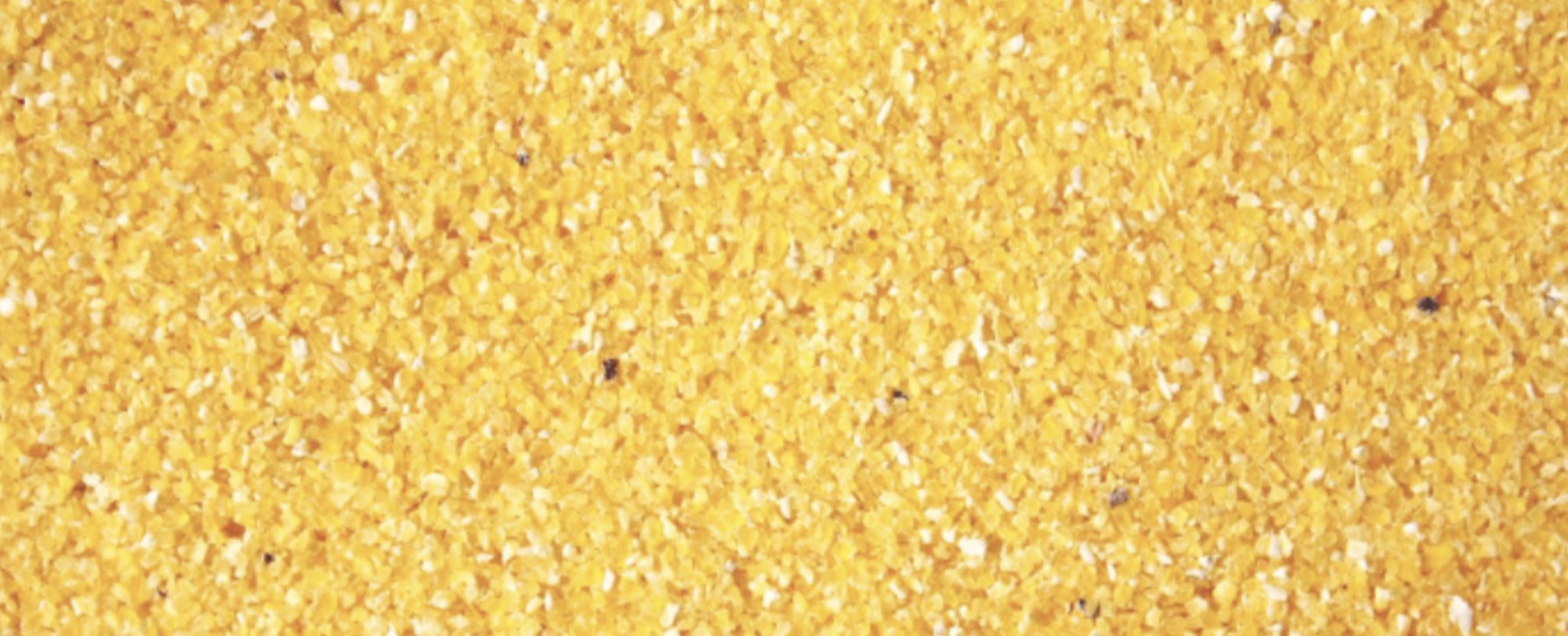 Zrzut ekranu 2025-02-20 o 23.38.01